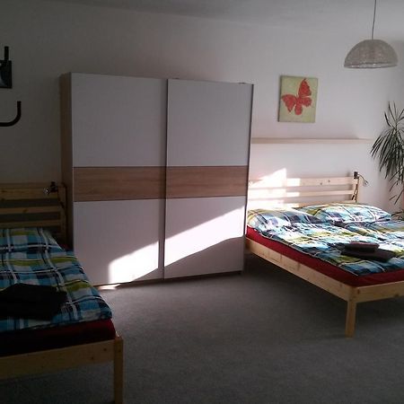 Apartman Zdar Żdżar nad Sazawą Zewnętrze zdjęcie