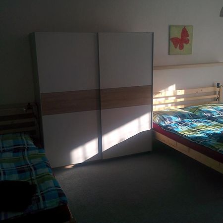 Apartman Zdar Żdżar nad Sazawą Zewnętrze zdjęcie