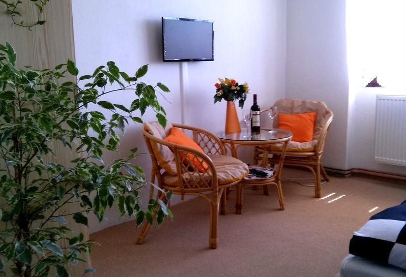 Apartman Zdar Żdżar nad Sazawą Zewnętrze zdjęcie