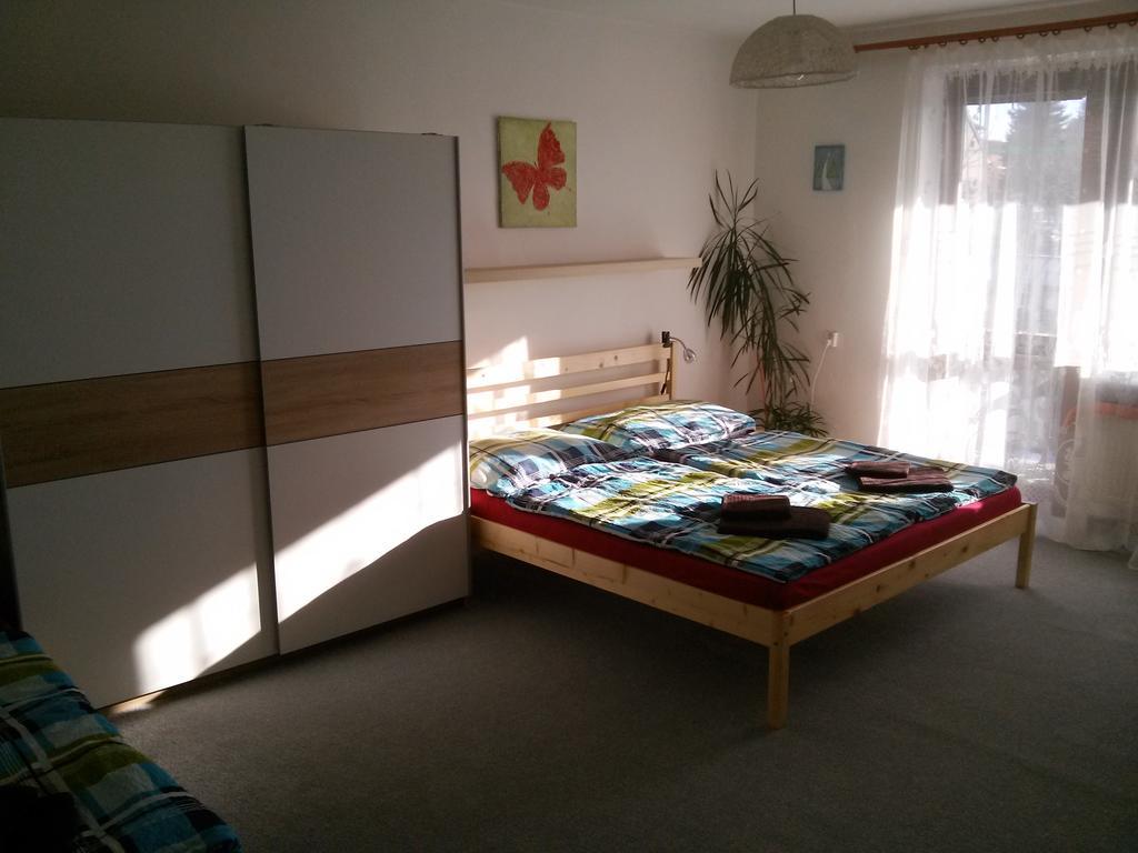 Apartman Zdar Żdżar nad Sazawą Zewnętrze zdjęcie